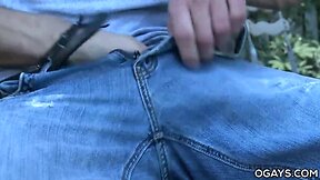 Agitated gay couple makes love