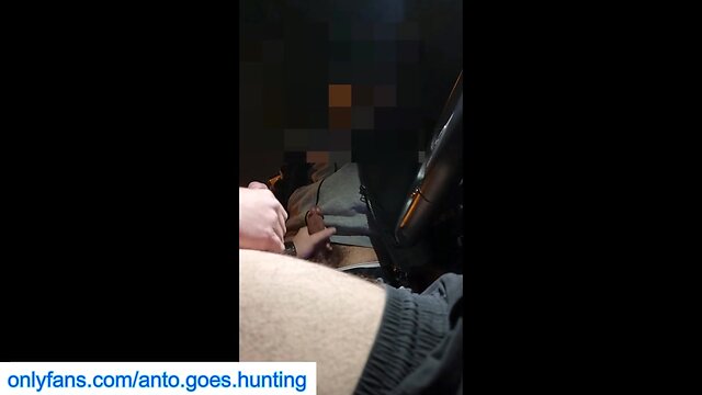 Cruising and providing oral pleasure at a rest stop