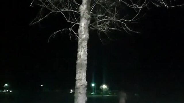 Exhibitionist sissy alexis enjoys showing off outdoors